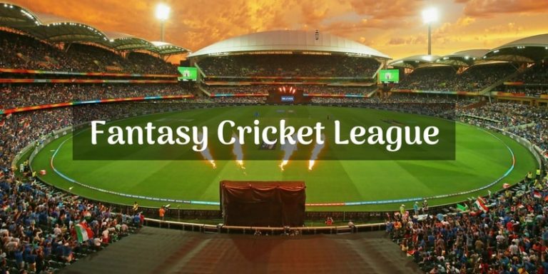 How do people earn by fantasy cricket leagues? 3