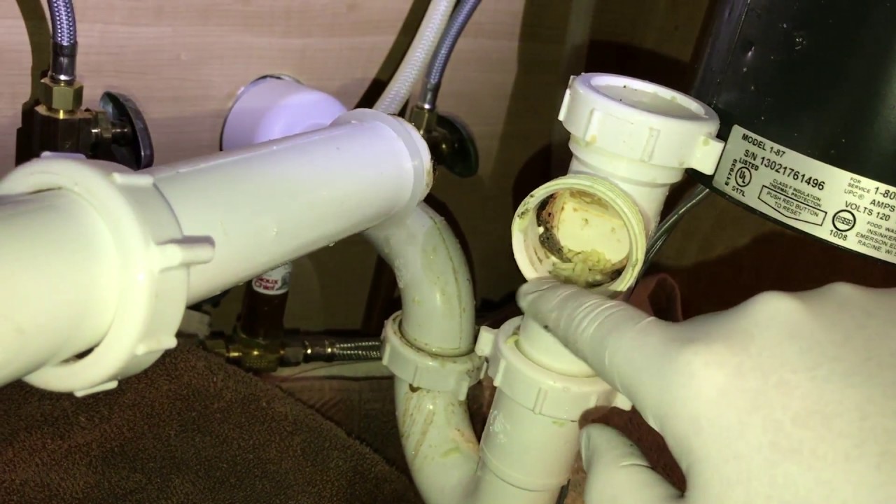 How to Unclog a Garbage Disposal Drain? Todays Past