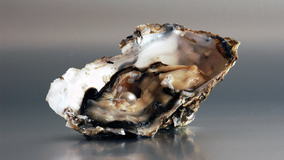 How a Pearl Is Made Inside an Oyster