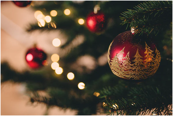 5 Things You Should Know About Christmas Trees 1