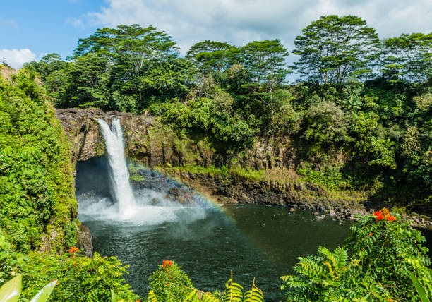 Travel Guide to Hilo