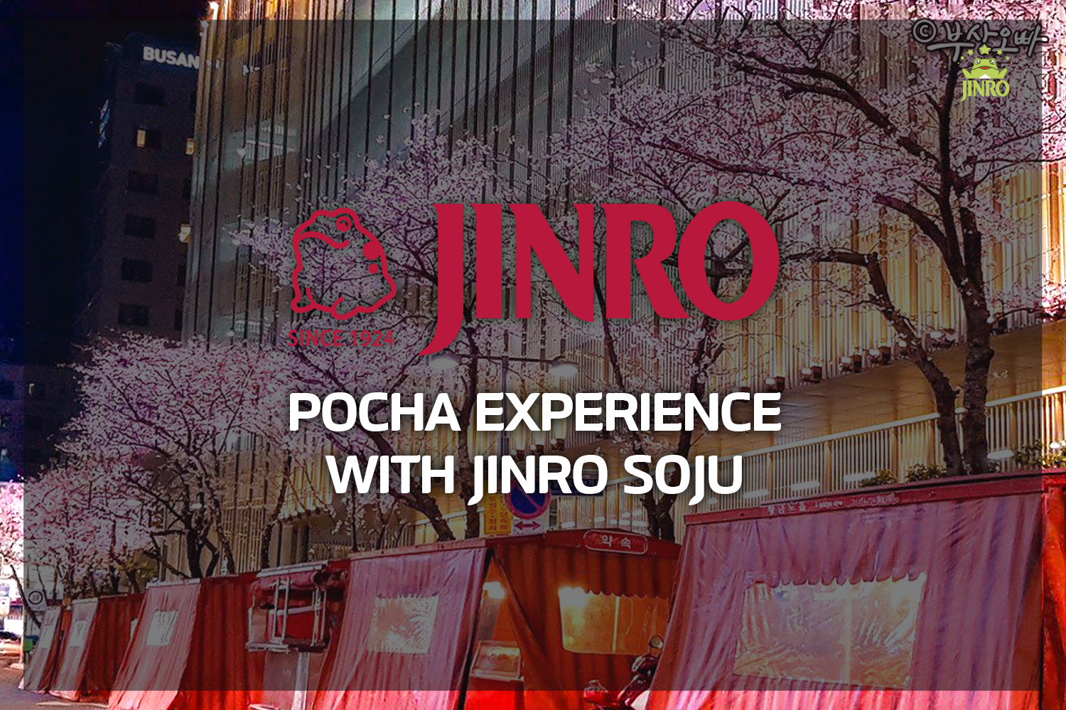 Pocha Experience with Jinro Soju