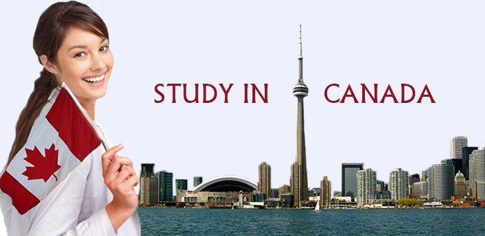 How Study in Canada Consultants Make Your International Education Journey Seamless 1