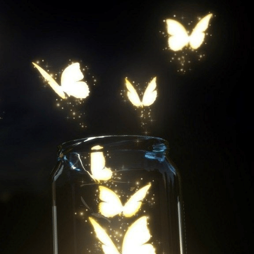 150+ Butterfly Whatsapp DP, Facebook, and YouTube DP 18