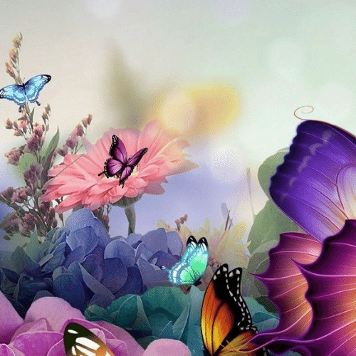 150+ Butterfly Whatsapp DP, Facebook, and YouTube DP 4