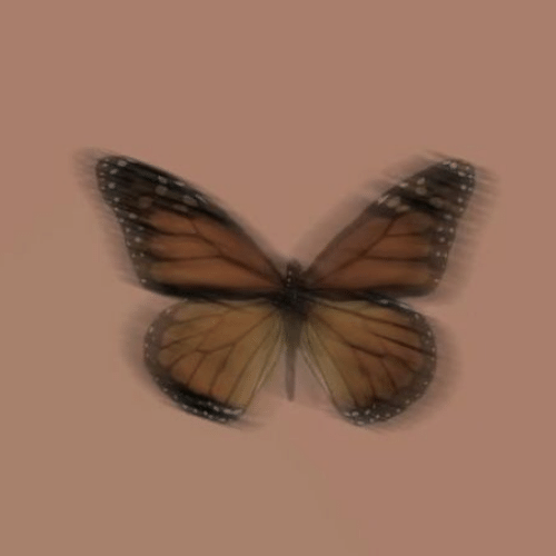 150+ Butterfly Whatsapp DP, Facebook, and YouTube DP 37
