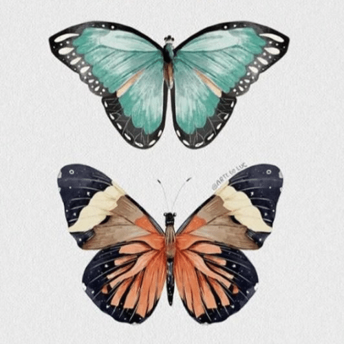 150+ Butterfly Whatsapp DP, Facebook, and YouTube DP 76
