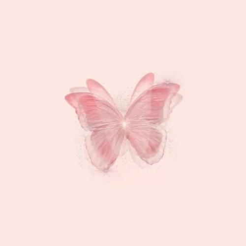 150+ Butterfly Whatsapp DP, Facebook, and YouTube DP 95