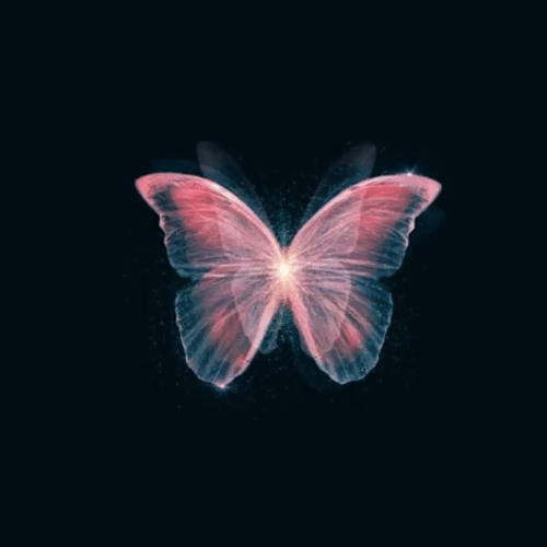 150+ Butterfly Whatsapp DP, Facebook, and YouTube DP 100