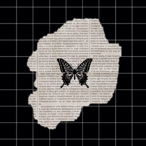 150+ Butterfly Whatsapp DP, Facebook, and YouTube DP 101