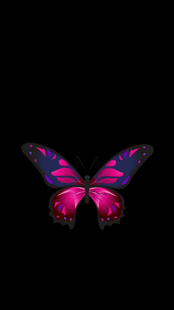 150+ Butterfly Whatsapp DP, Facebook, and YouTube DP 108