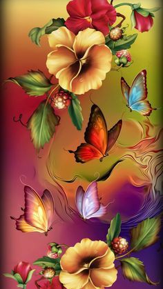 150+ Butterfly Whatsapp DP, Facebook, and YouTube DP 117
