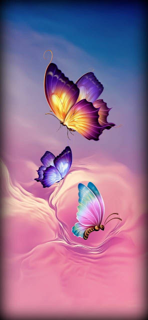 150+ Butterfly Whatsapp DP, Facebook, and YouTube DP 118