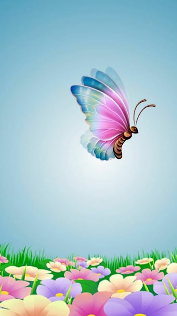 150+ Butterfly Whatsapp DP, Facebook, and YouTube DP 124