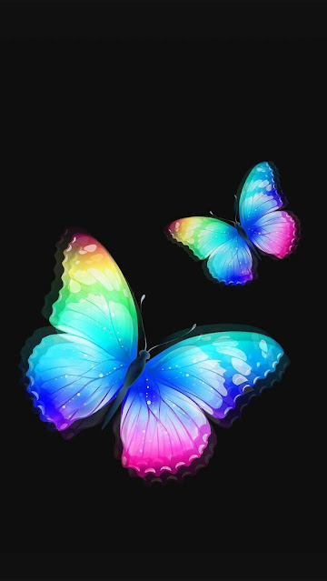 150+ Butterfly Whatsapp DP, Facebook, and YouTube DP 107