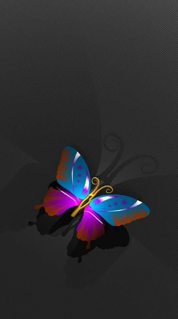 150+ Butterfly Whatsapp DP, Facebook, and YouTube DP 112
