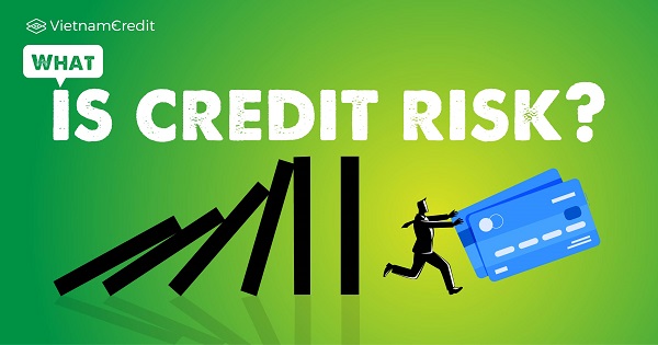 What are the types of Types of Credit Risk ? 1