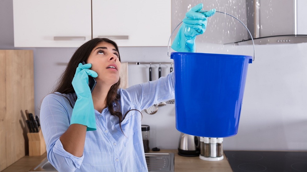 Why Home And Business Owners Rely On Professional Water Remediation Companies? 3 Why Home And Business Owners Rely On Professional Water Remediation Companies? 1