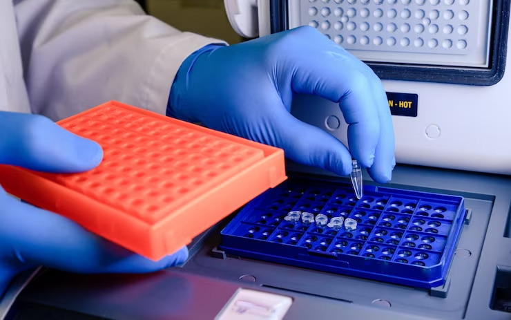 Beyond Basic Checks: Why a Comprehensive Metabolic Panel Is Your Early Warning System 3 Beyond Basic Checks: Why a Comprehensive Metabolic Panel Is Your Early Warning System 1